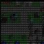 images_matrix_small.jpg