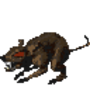 giantrat.base.x71.png